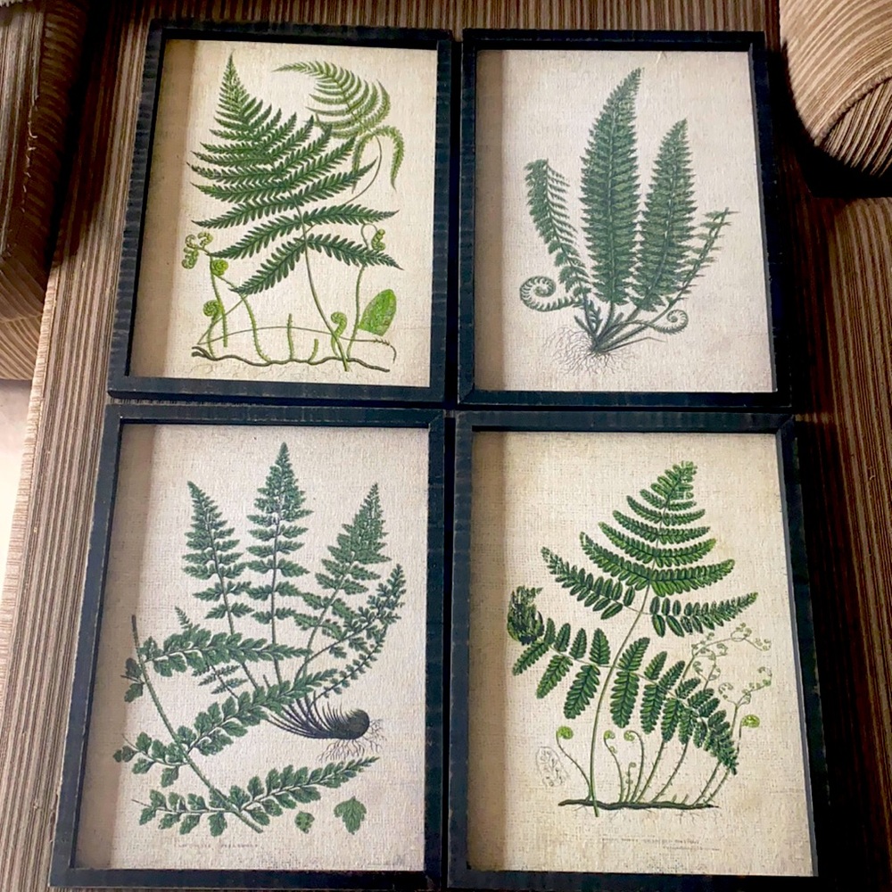 World Market Wall Art Frames each are 12in x 16in